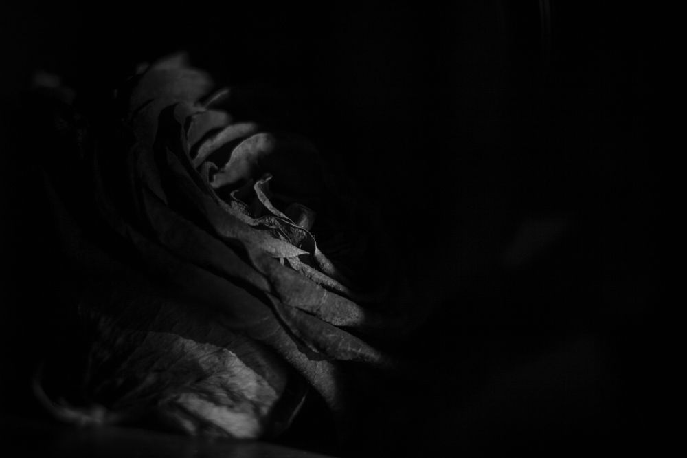 Photograph by Mihaela Chitoroagă