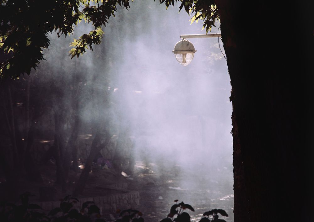 Фотография автора Nima Nezafat Yazdi