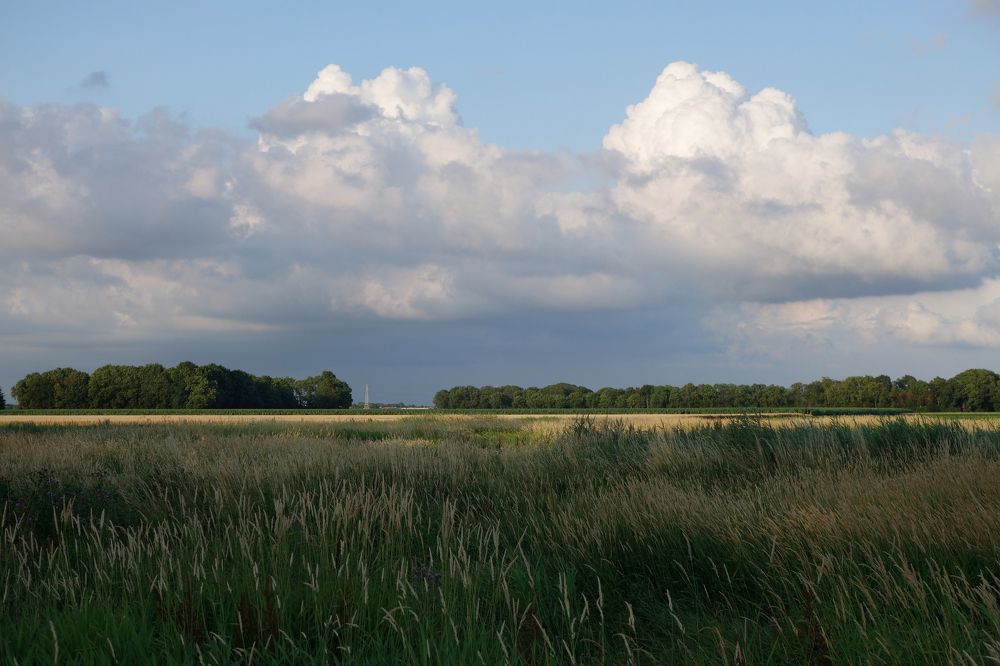 бывшее море