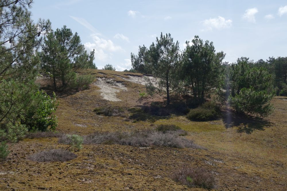 путь к вершине