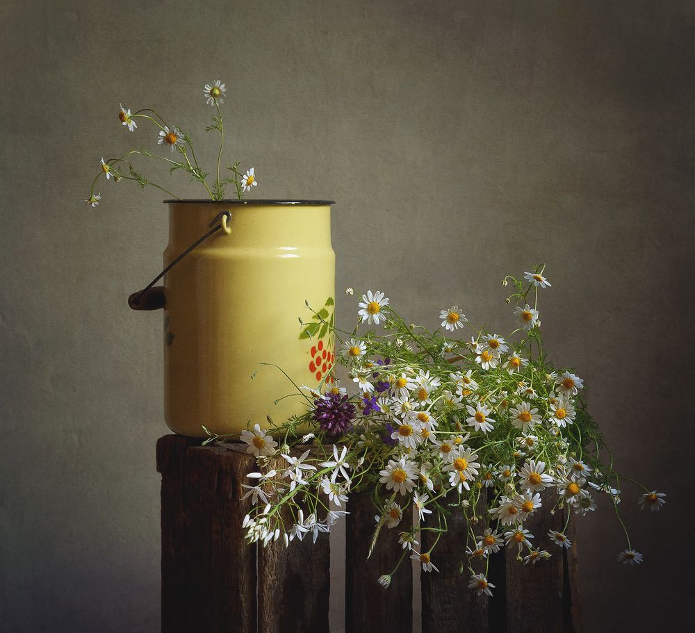 Ромашковый