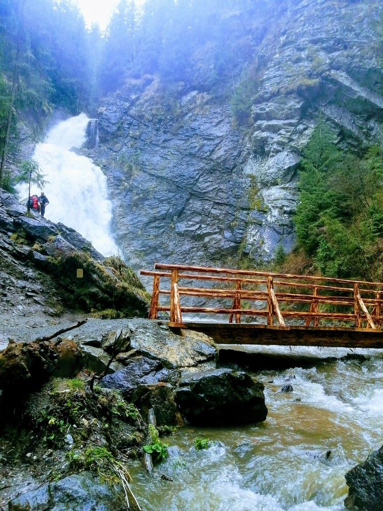 Photograph by Mila Gaziuc