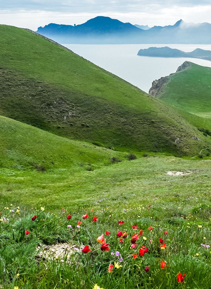 Весенний пейзаж.