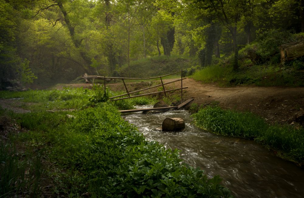 Photograph by Helen Vasilieva