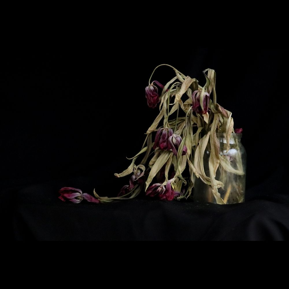 Photograph by Василина Петрик