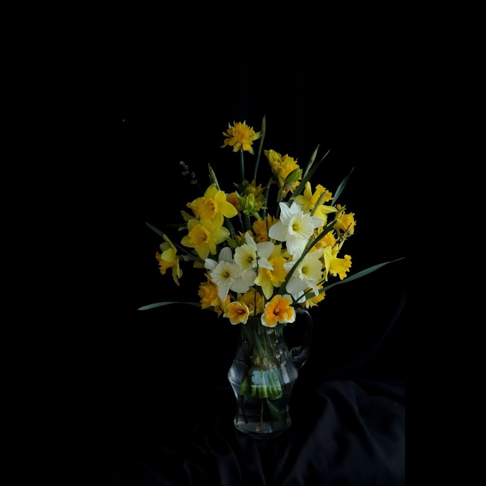 Photograph by Василина Петрик