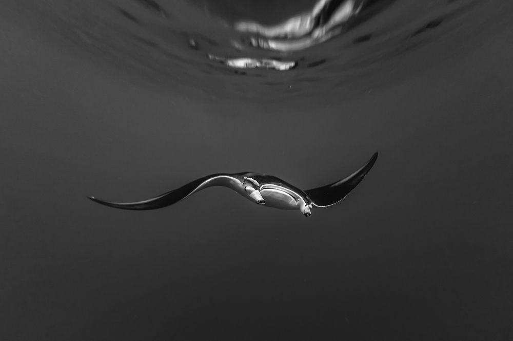 Photograph by Mizael Palomeque