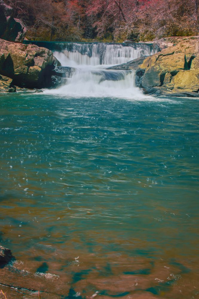 Photograph by Gargee Chowdhury