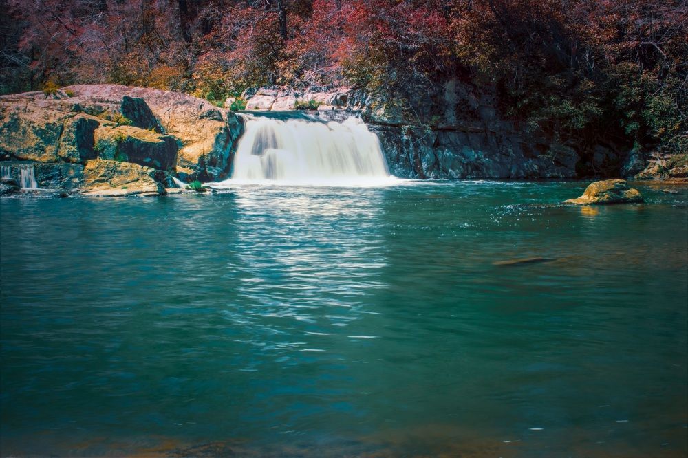 Photograph by Gargee Chowdhury