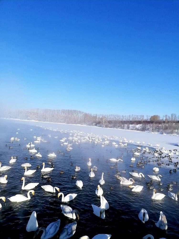 Photograph by Надежда Сабаева