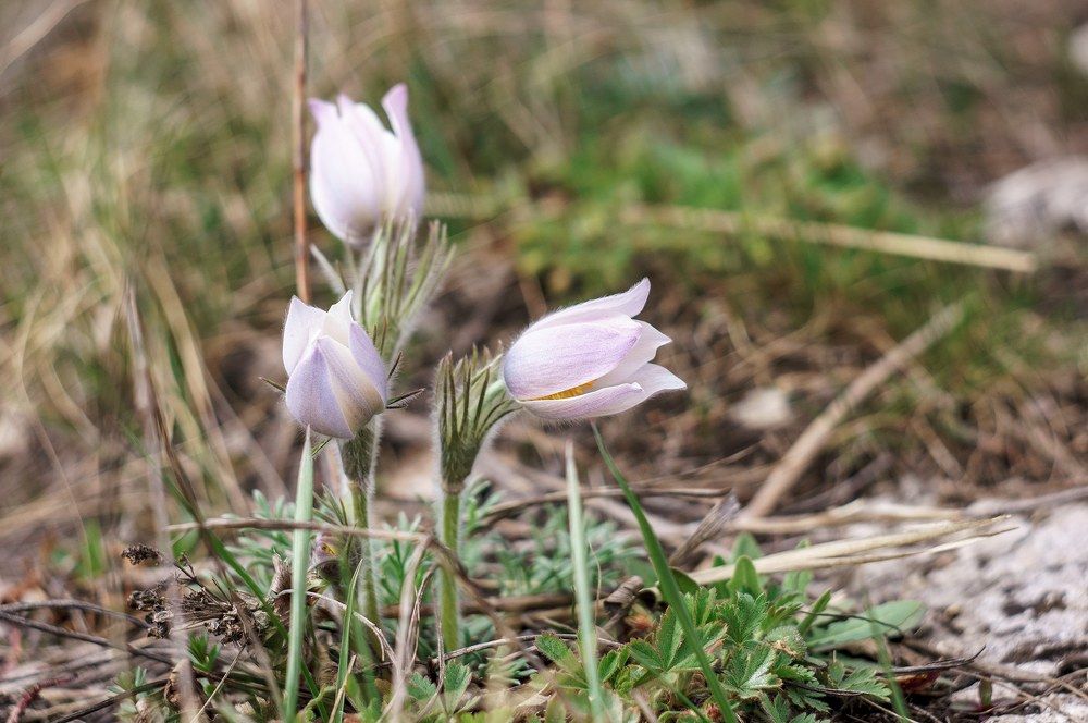 Photograph by Владимир Янчук