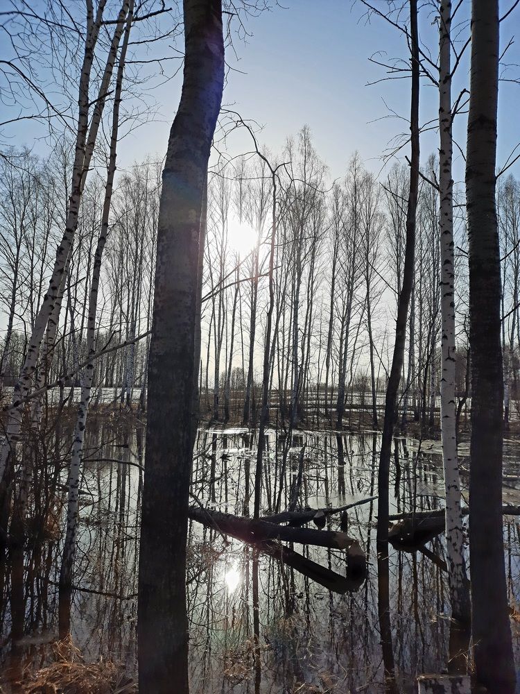 Photograph by Надежда Сабаева