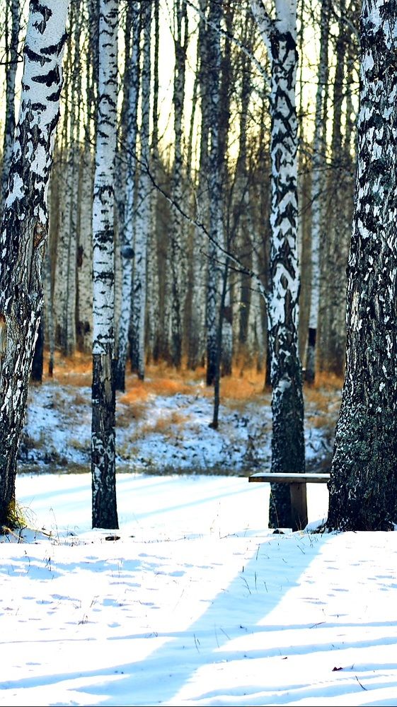 Photograph by Надежда Сабаева