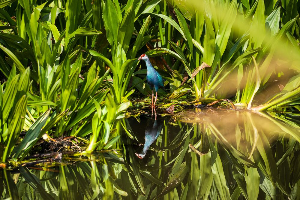 Фотография автора Mathushanth Kanagaratnam