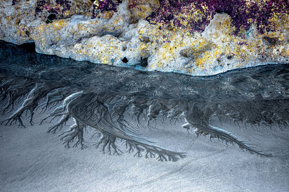 Photograph by Yannah Tekwie