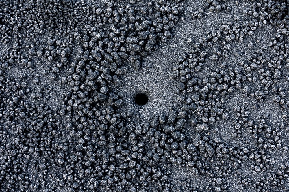 Photograph by Yannah Tekwie