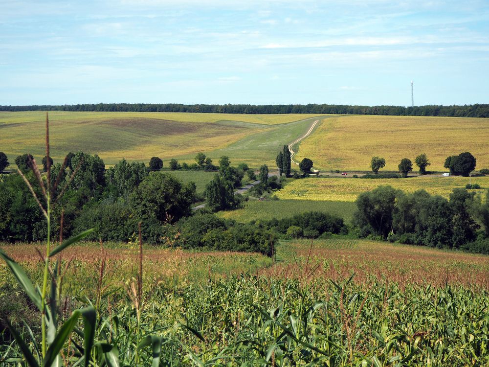 Фотография автора Denes Doma