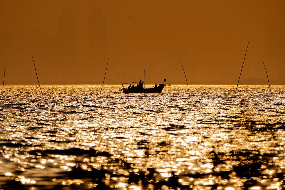 sailor sails the ship on Golden waves