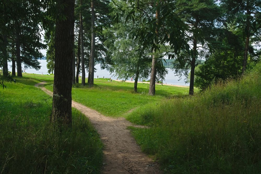 Photograph by наталья Гербис