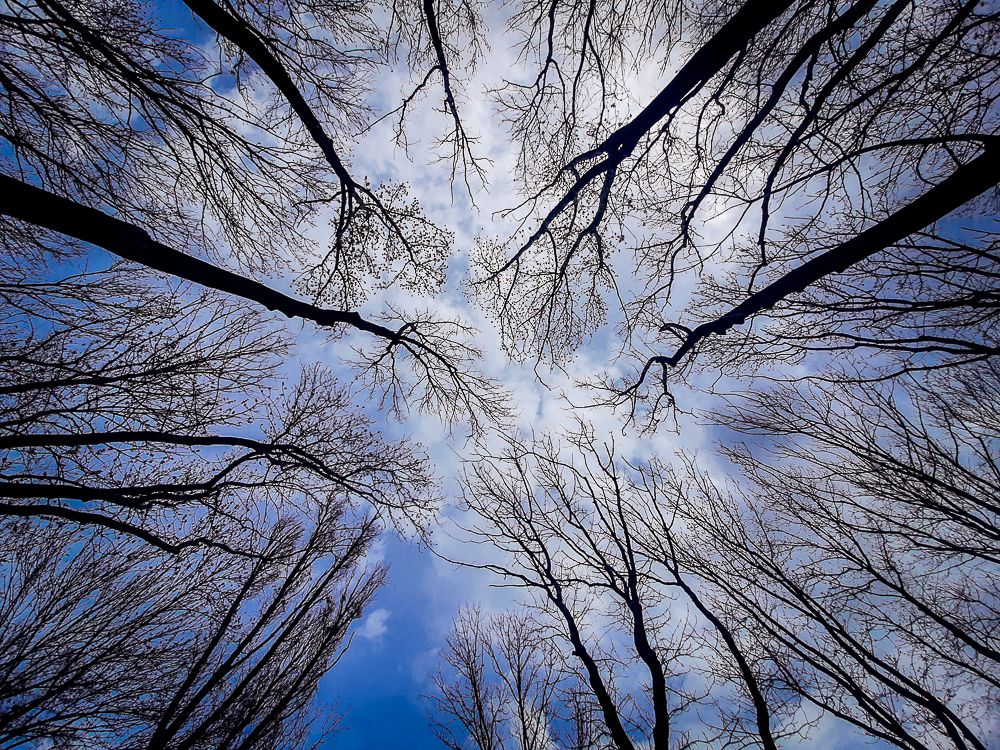 Photograph by Светлана Ветрова