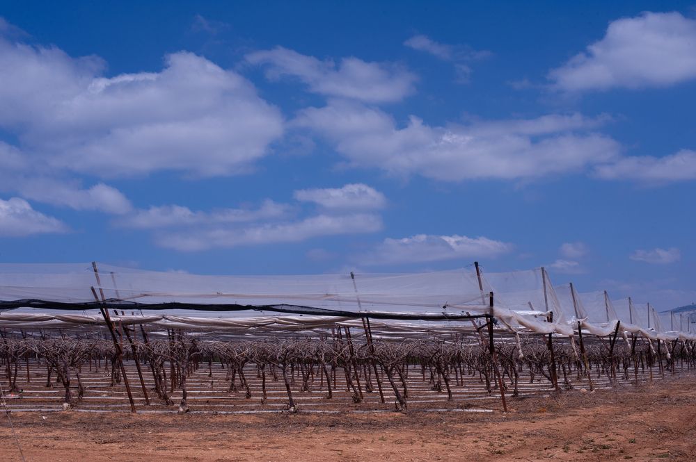 Photograph by Eugenia Shraga