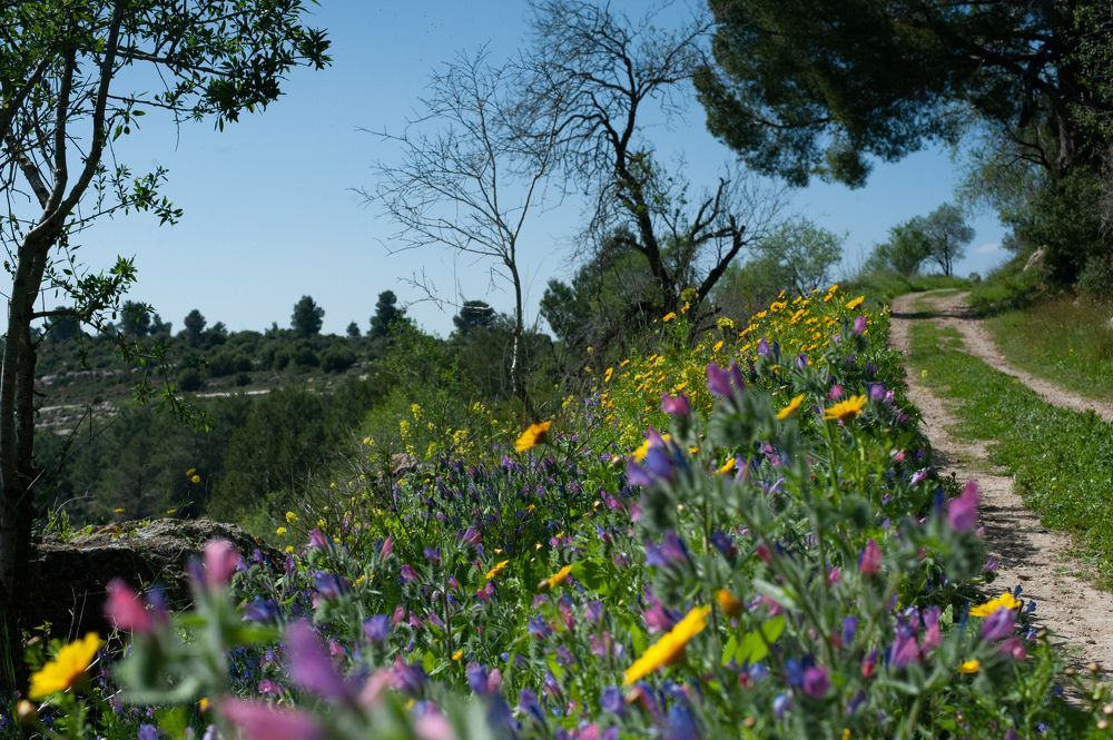 Photograph by Eugenia Shraga