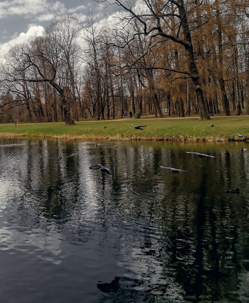 Photograph by Светлана Морева