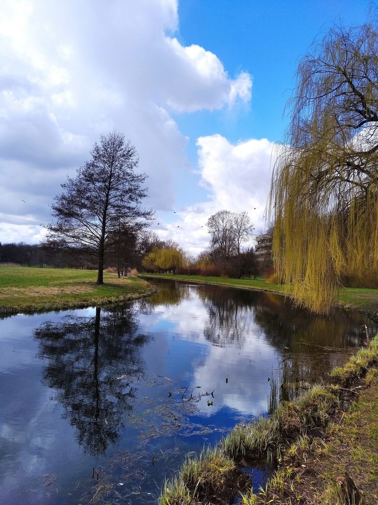 Зеркало озера.