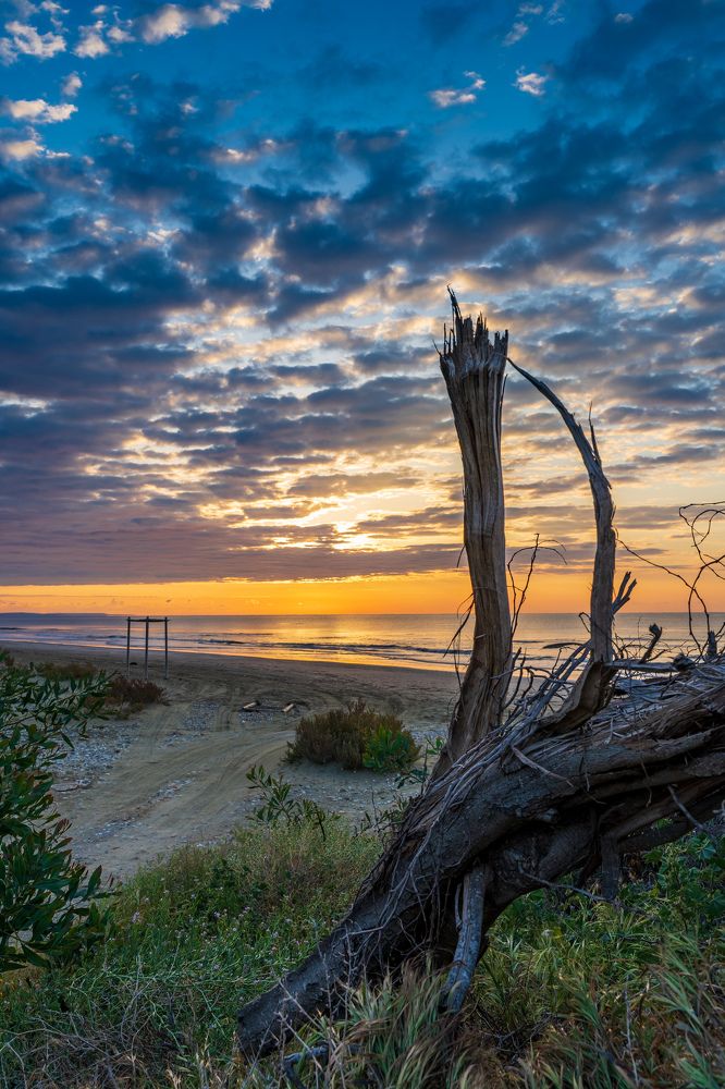 Photograph by Andreas Christofi