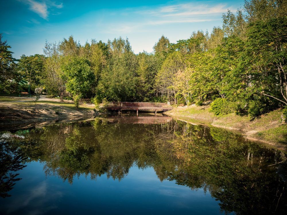 Photograph by Наталья Гордина