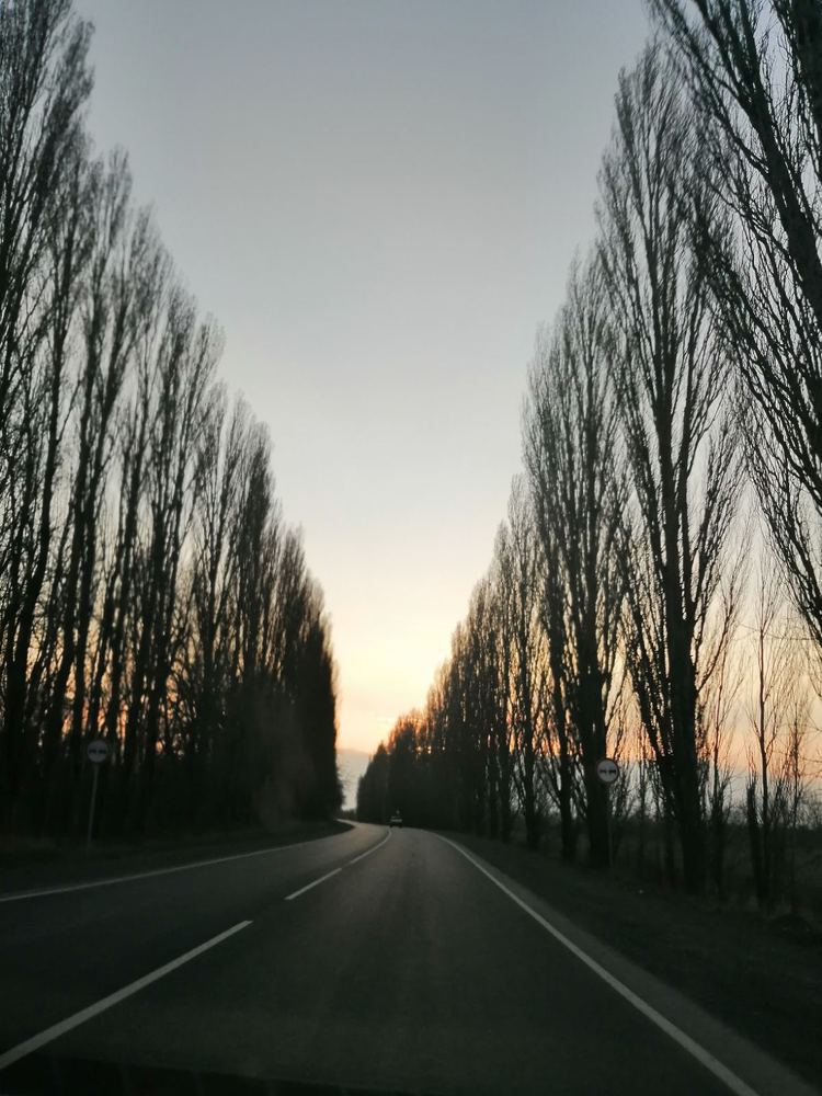 Photograph by Виталий Гончаров