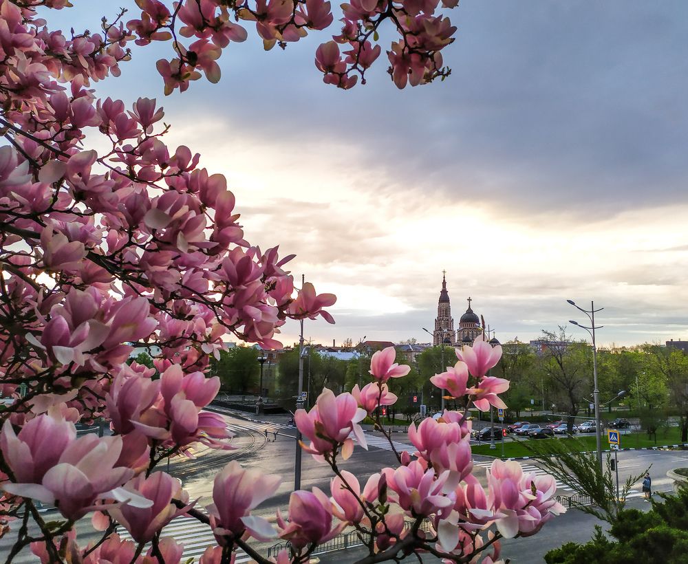 Photograph by Alekseeva Marina