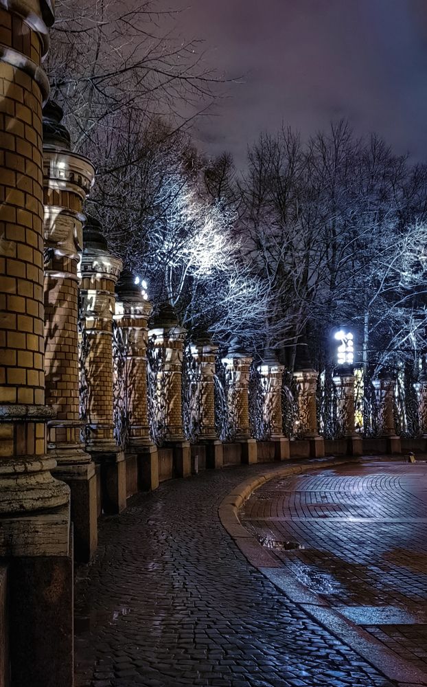 Свет и тень ночного Петербурга