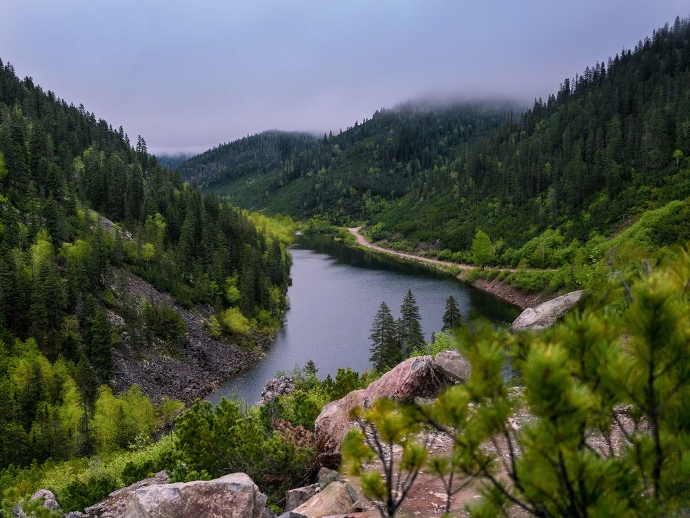 Photograph by Наталья Гордина