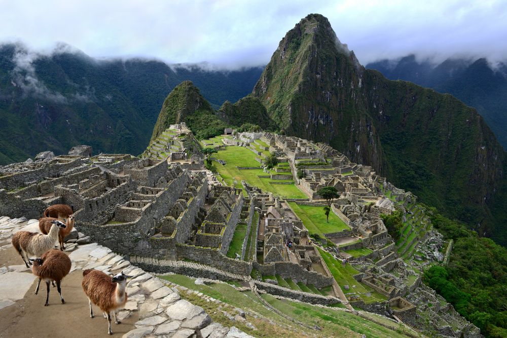 Photograph by SI SABER LOTFI