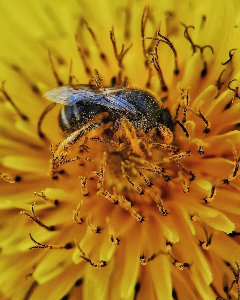 Photograph by Гульназ Арсланова