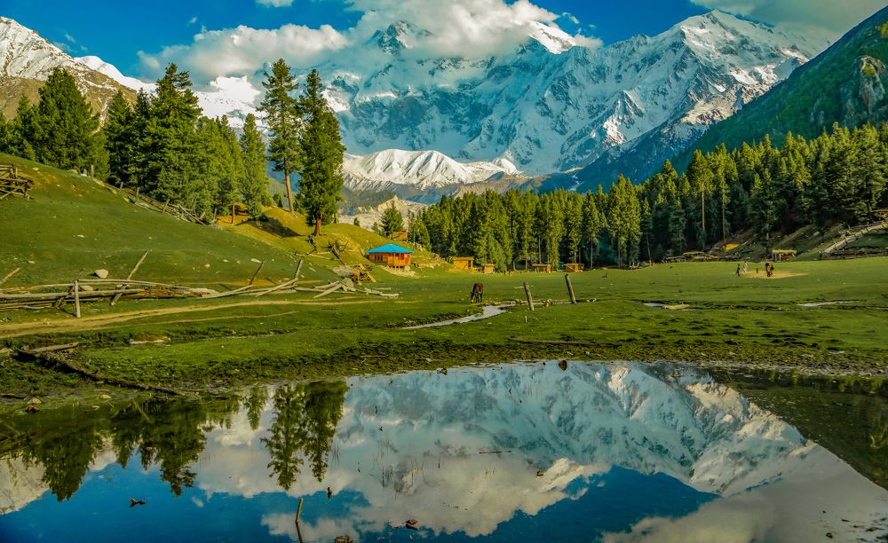 Photograph by Farrukh Siddiqi