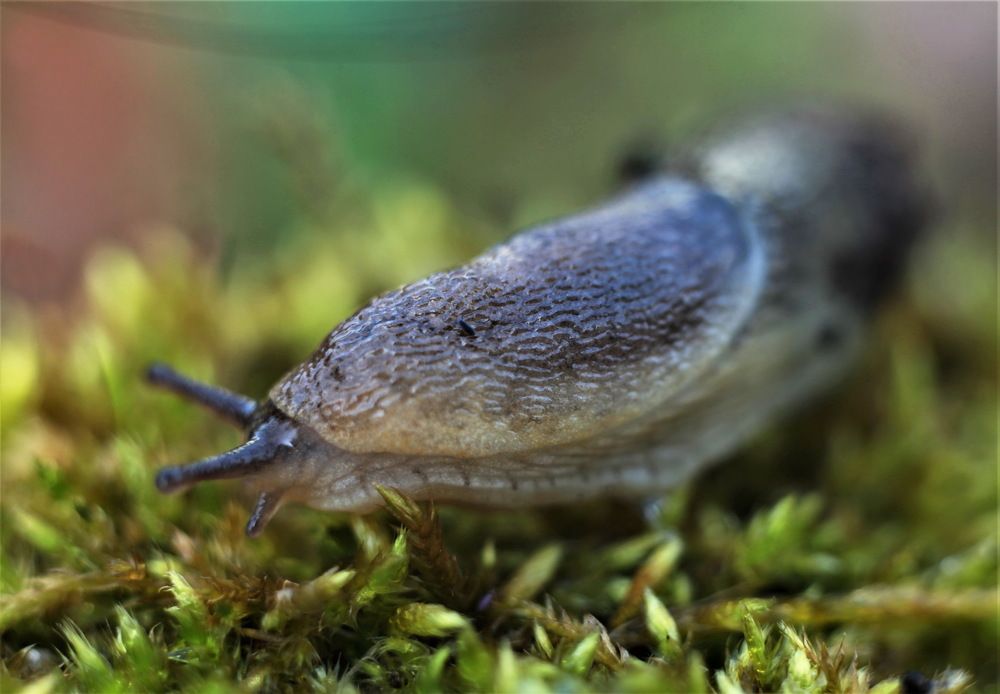 Photograph by Анастасия Рысь