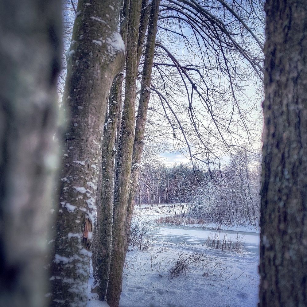 Photograph by Виталий Могиленец