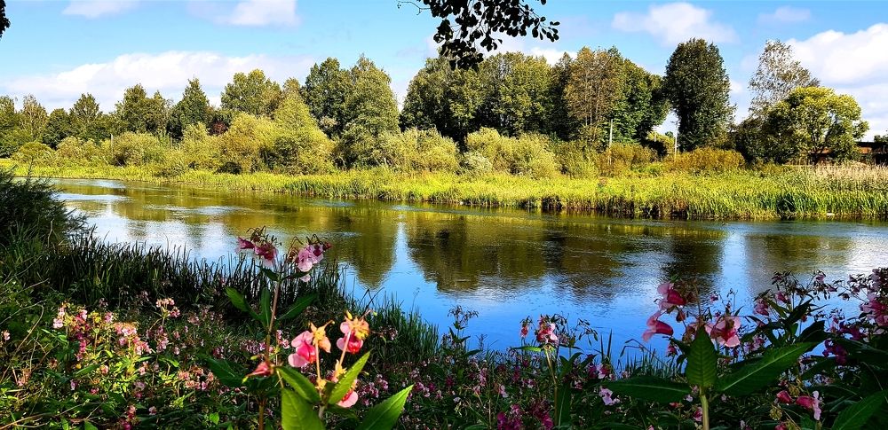 Photograph by Larisa Gella