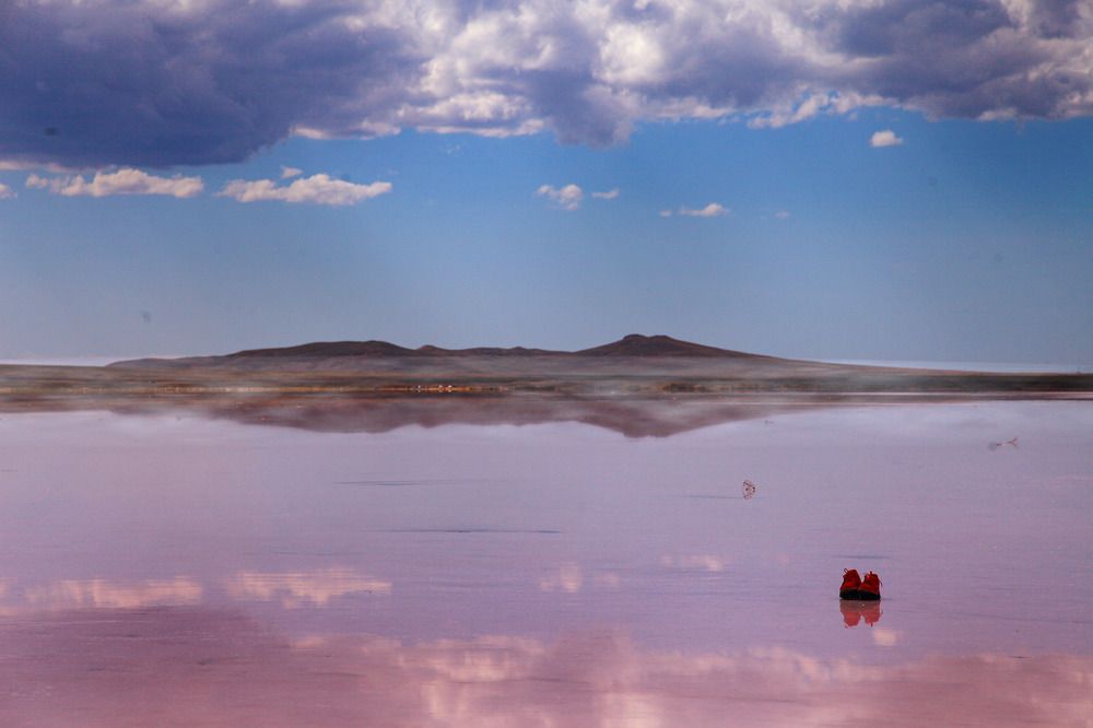 Фотография автора Дарья Мо