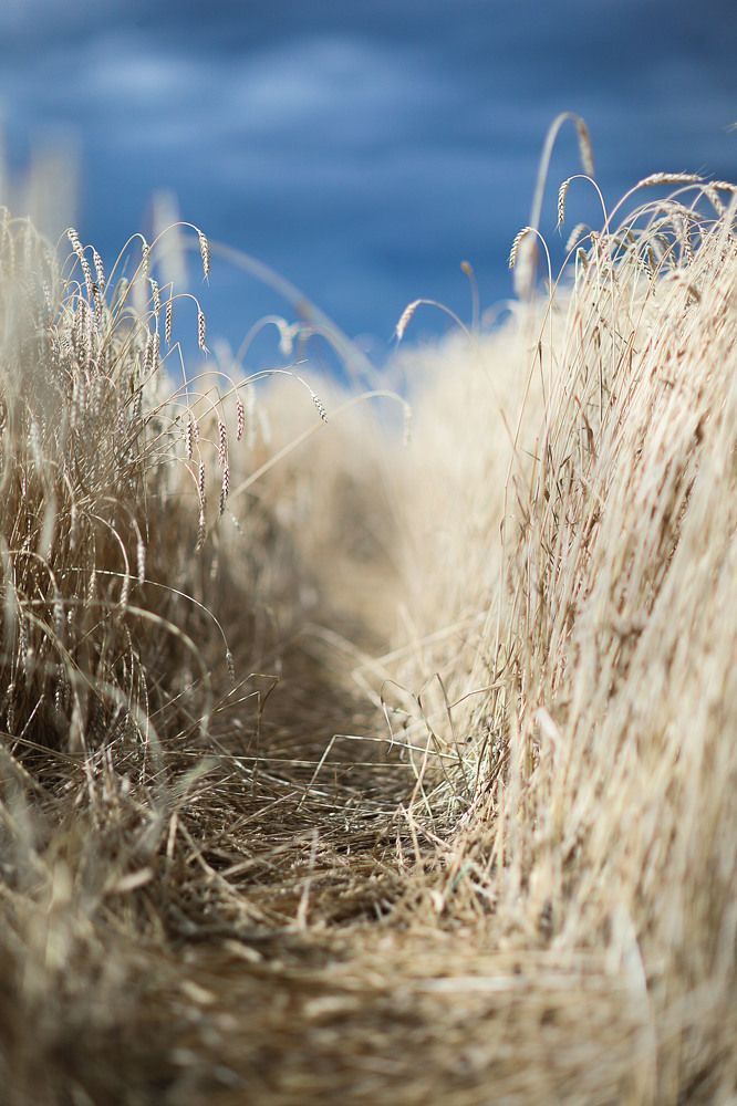 Фотография автора Дарья Мо