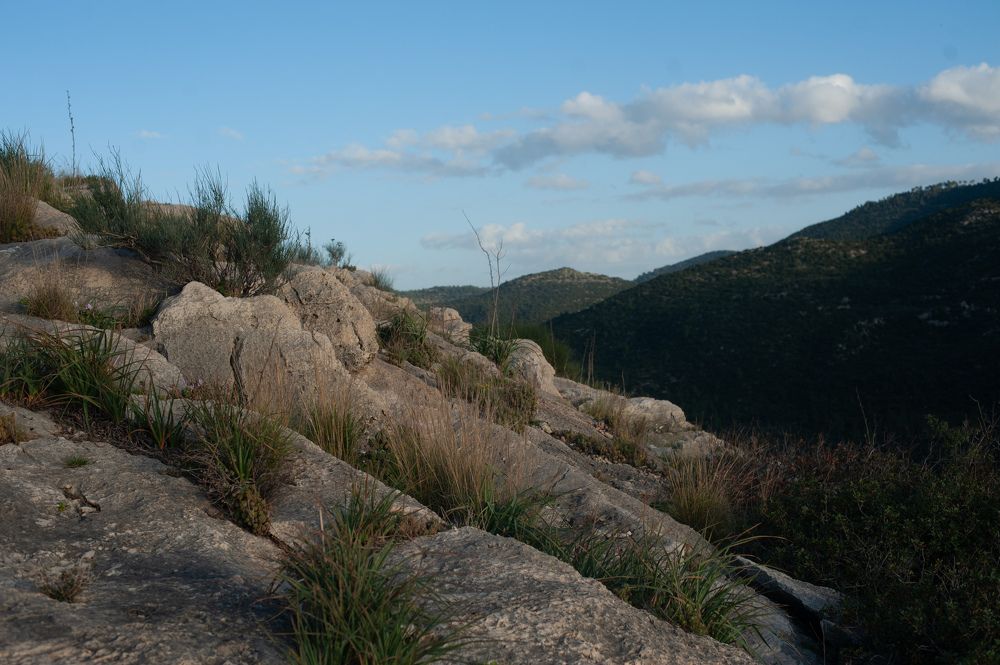 Photograph by Eugenia Shraga