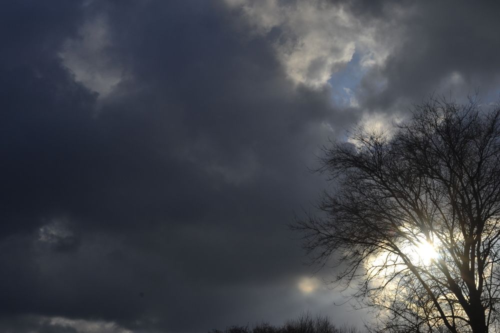 Photograph by Александра Лиманская