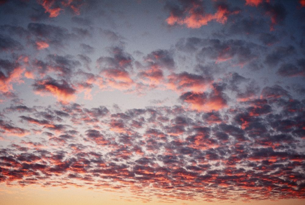 Photograph by Наталия Бочкова