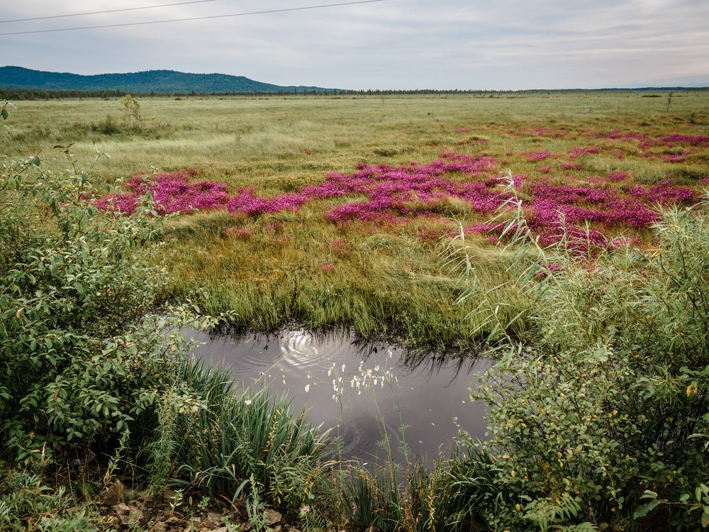 Photograph by Наталья Гордина