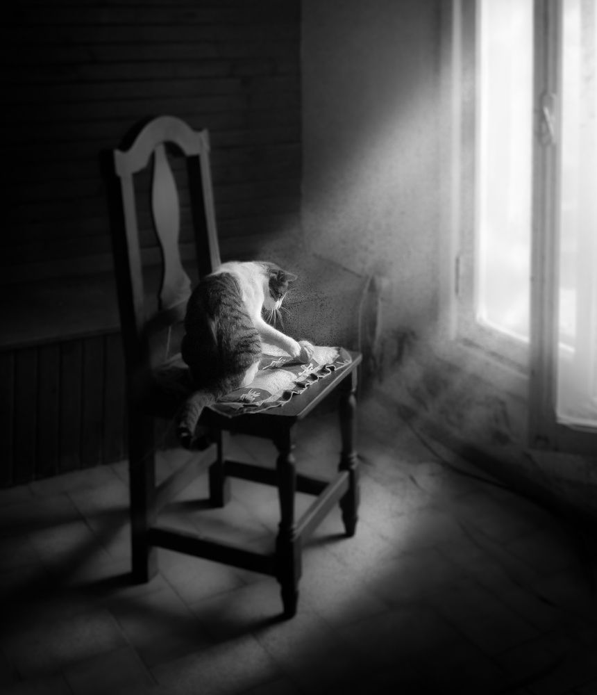 Фотография автора LORNA AGUIRRE