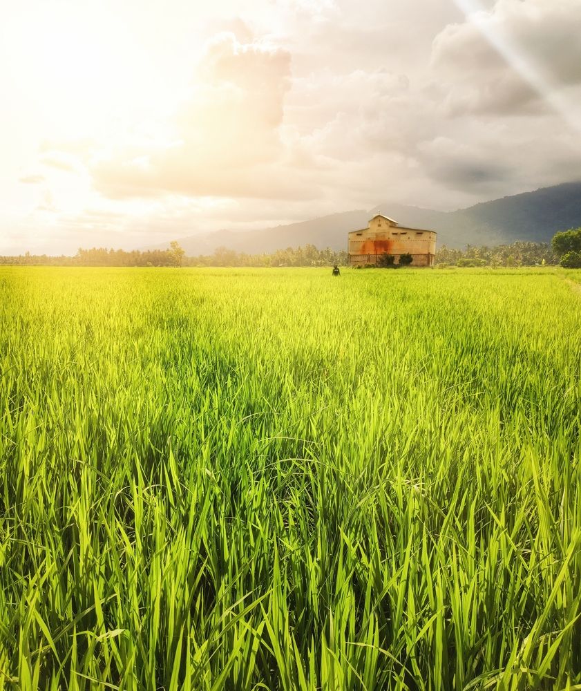 Photograph by Muhammad Faizal Hidayah Putra