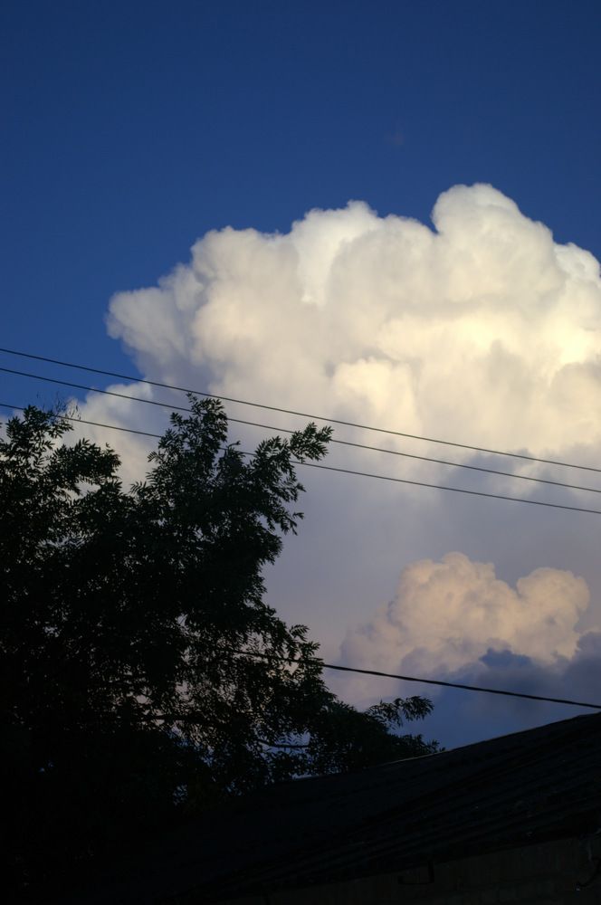 Photograph by Александра Лиманская