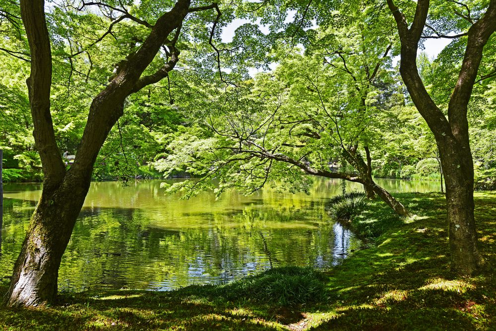 Photograph by mypure heart